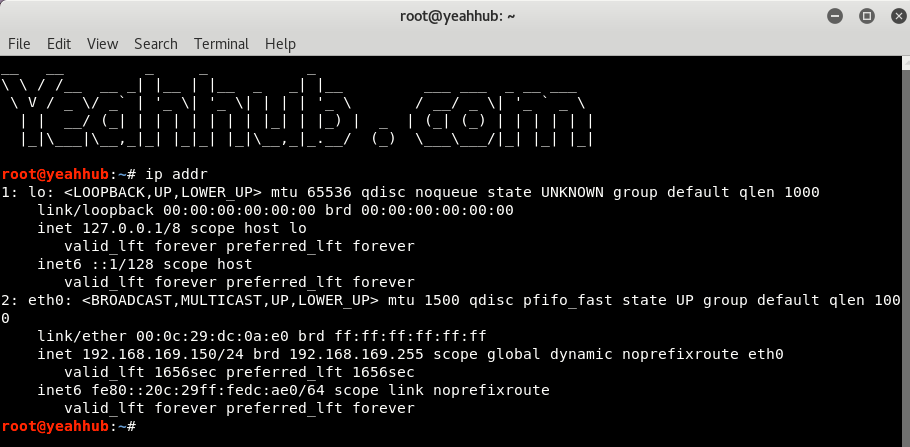 get ip from url linux command line