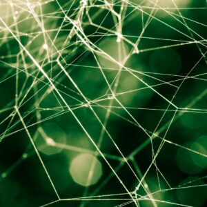 Server-Side Checklist