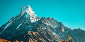 Himalayan
