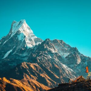 Himalayan