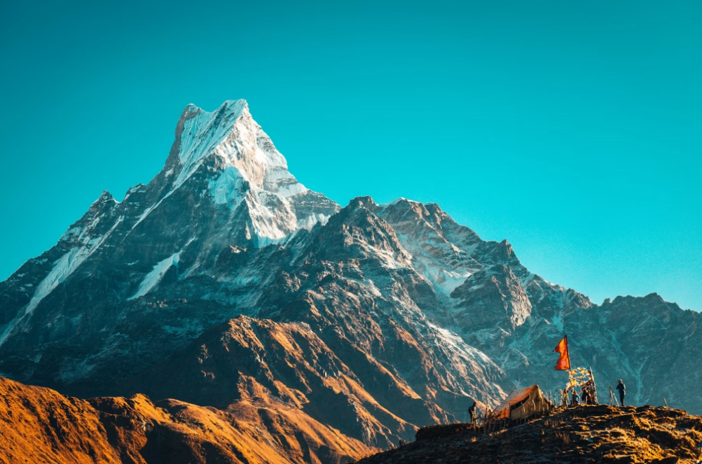 Himalayan